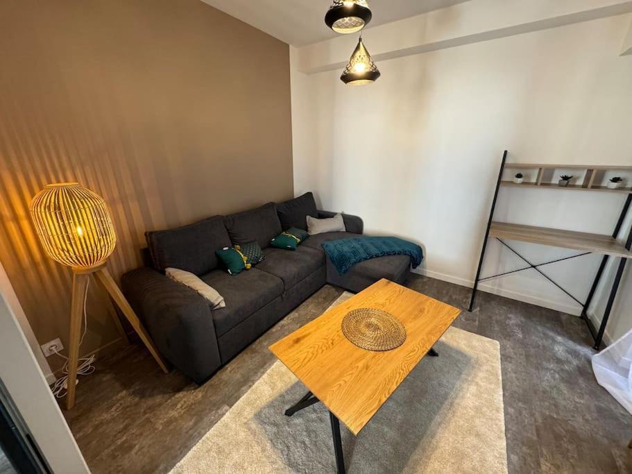 Appartement Cosy Et Lumineux Dans Village Medieval Boulieu-les-Annonay エクステリア 写真